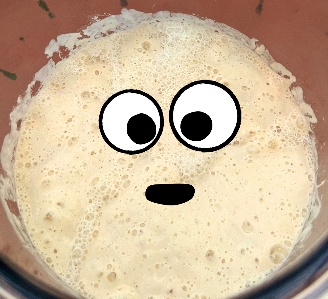 Bob, our sourdough starter, active and doubled in size after feeding